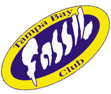 TBFC Logo